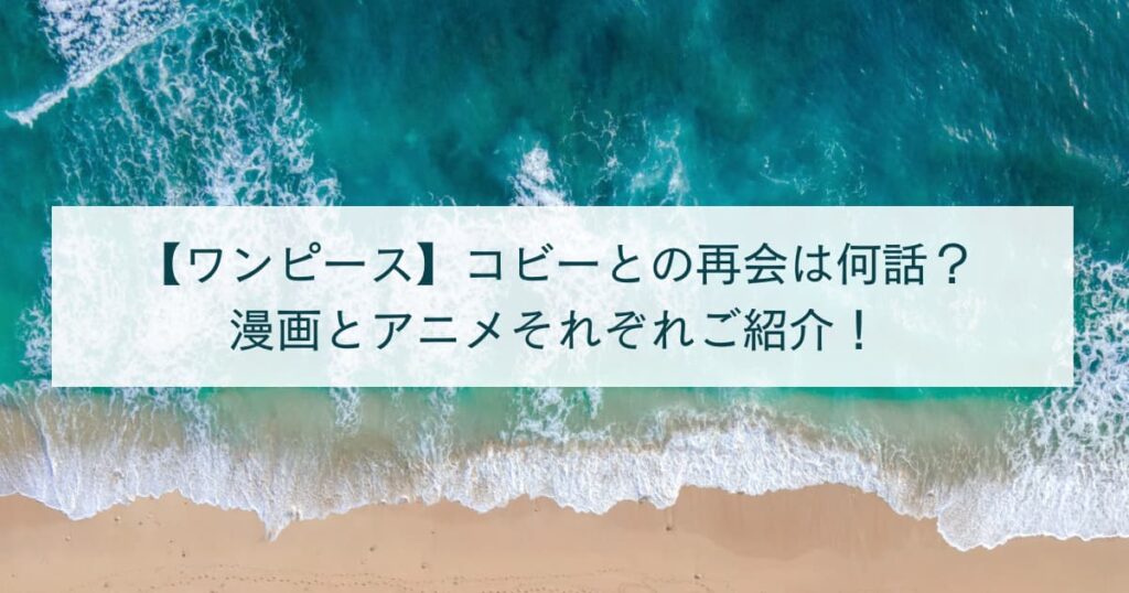 【ワンピース】コビーとの再会は何話？漫画とアニメそれぞれご紹介！